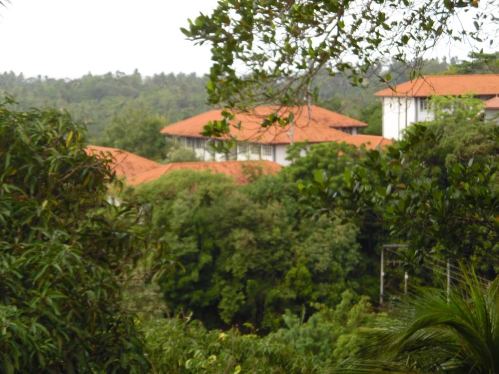 Mount View Villa Resort ミリッサ エクステリア 写真