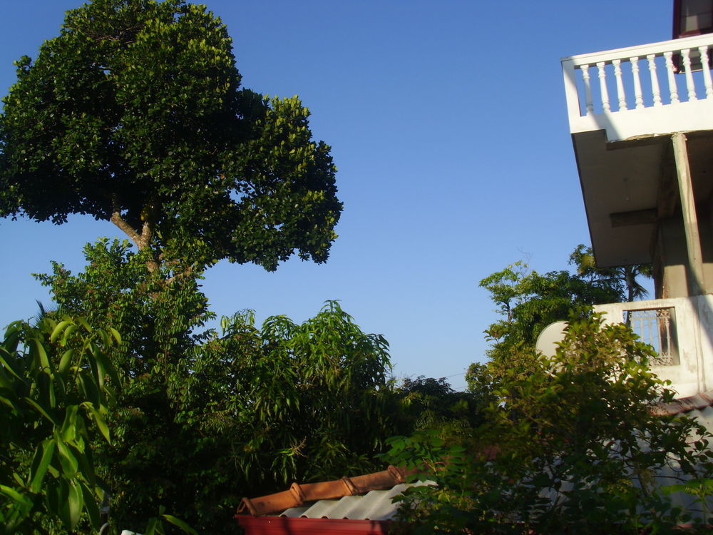 Mount View Villa Resort ミリッサ エクステリア 写真